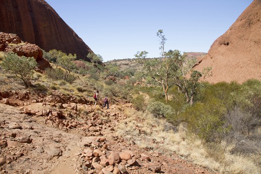 Australia 2014 - Kata Tjuta